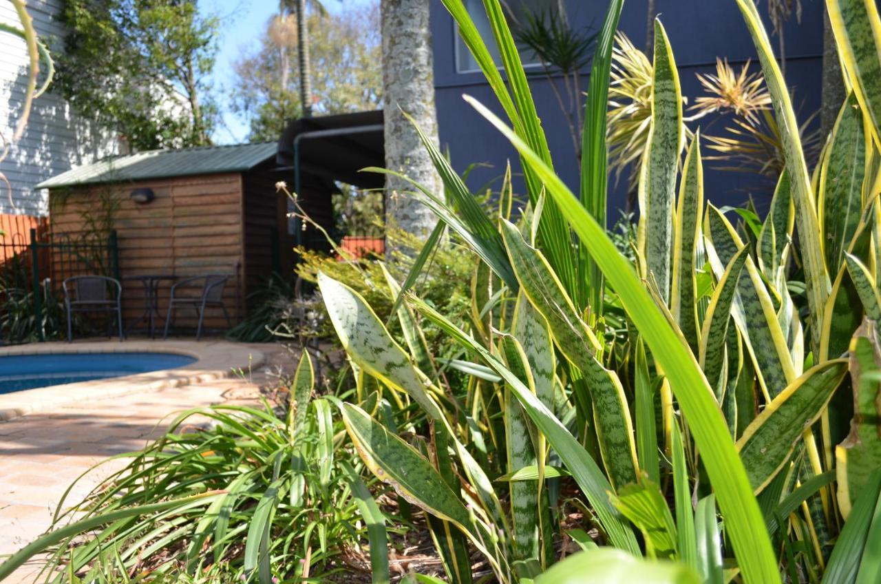 Airport Motel Brisbane Extérieur photo